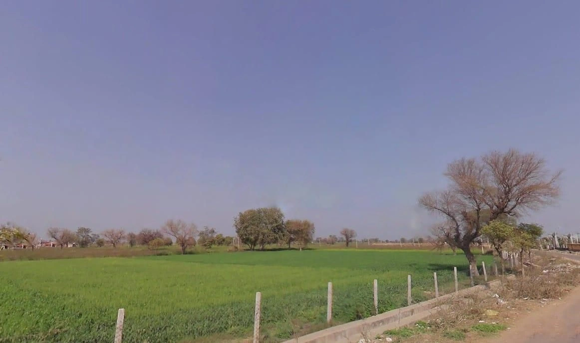Barodameo, Rajasthan 301021, India