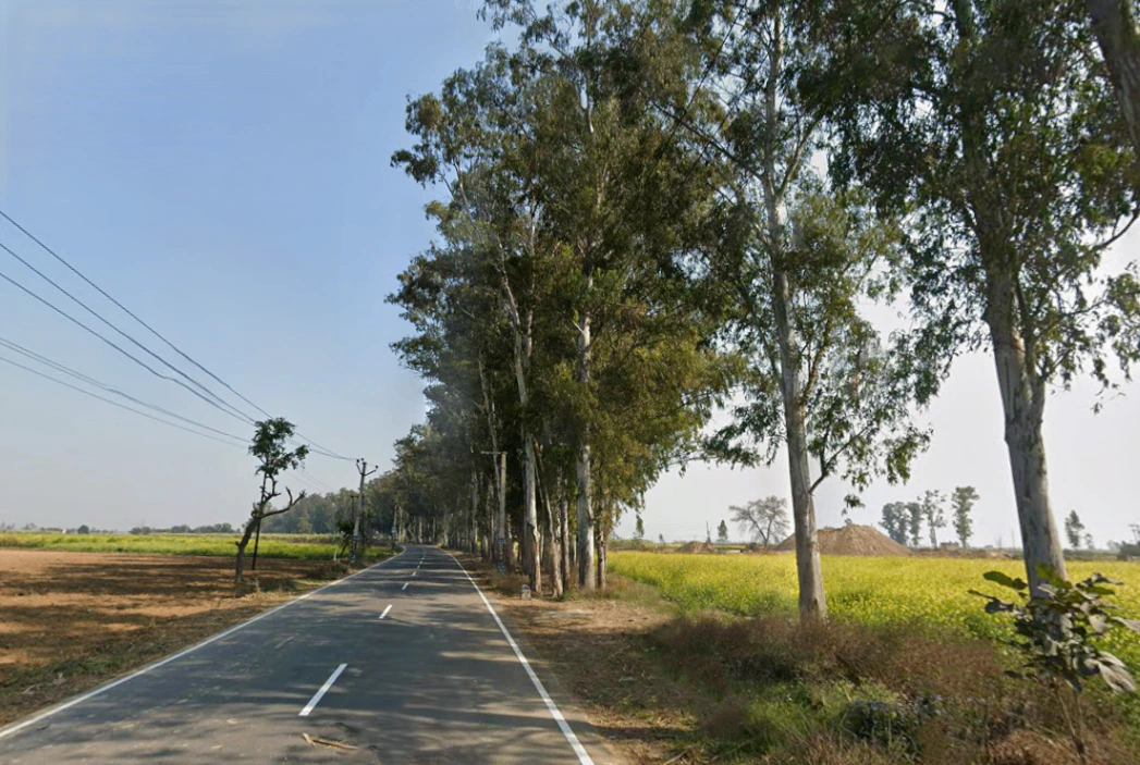 Jansath, Uttar Pradesh 251314, India