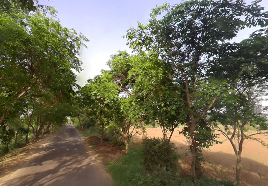 Bahadurgarh, Uttar Pradesh 245208, India