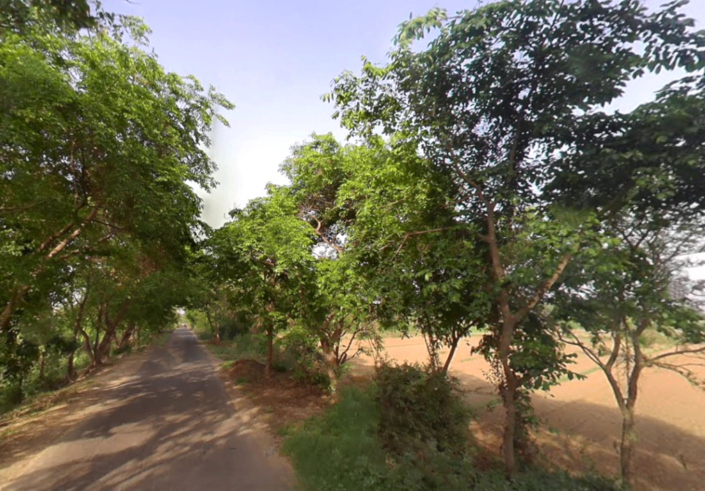 Bahadurgarh, Uttar Pradesh 245208, India