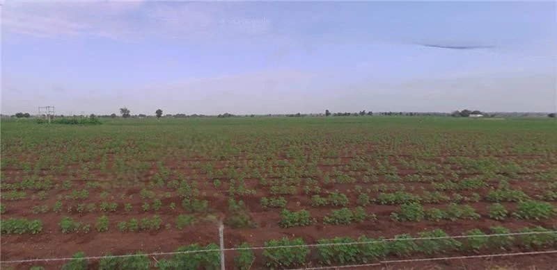 F7X4+XC Devsar, Gujarat, India