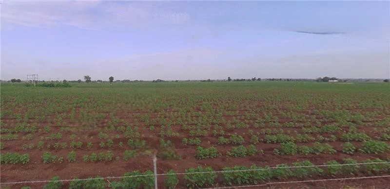 F7X4+XC Devsar, Gujarat, India