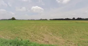 Salaiya, Madhya Pradesh, India preview 3