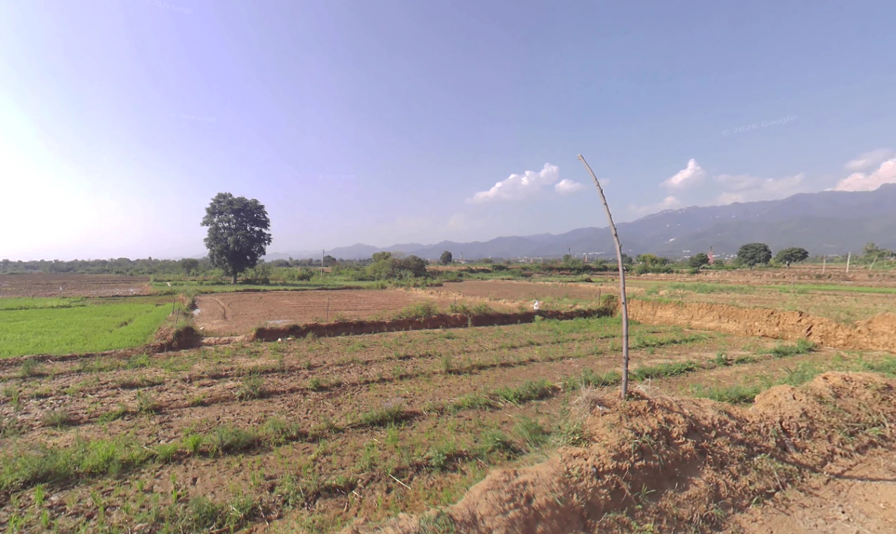 Bargodam, Kalka, Haryana 133302, India