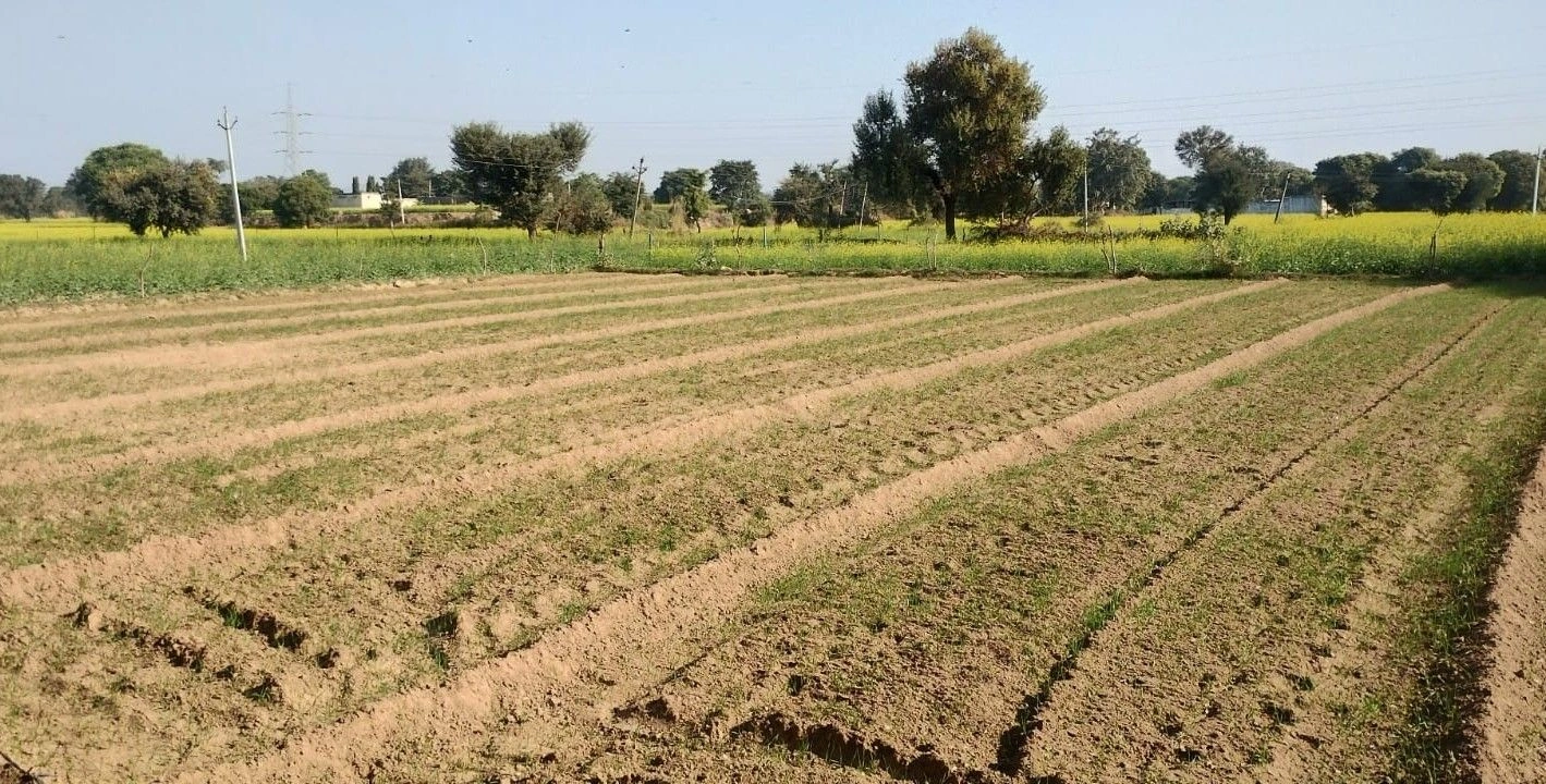 Nadka, Rajasthan, India