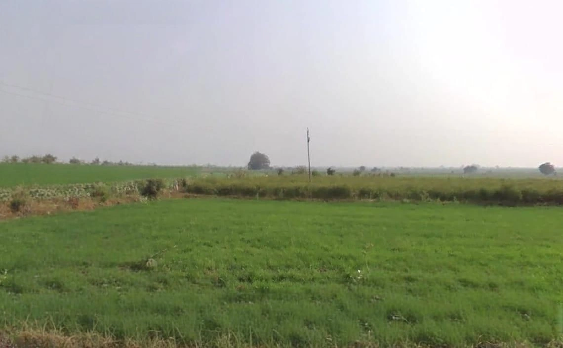 Jasalpur, Madhya Pradesh 461001, India preview 2