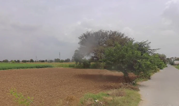 Dholera, Gujarat 382455, India