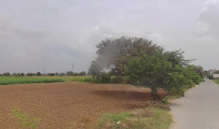 Dholera, Gujarat 382455, India