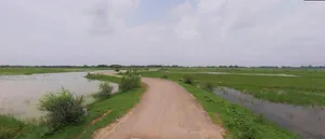 Satna Byp Rd, Trichi Colony, Satna, Madhya Pradesh, India preview 2