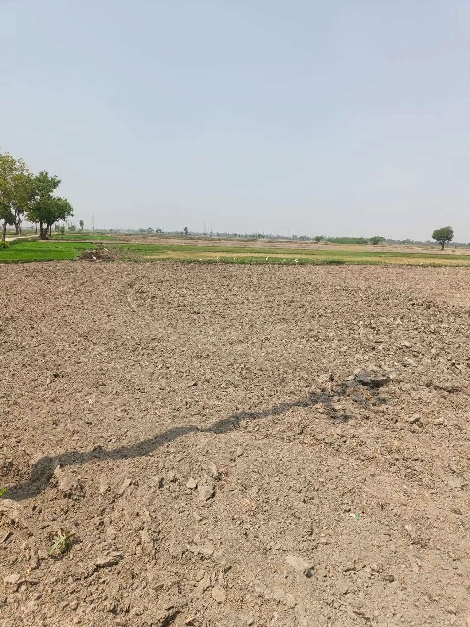 Sahar, Uttar Pradesh, India