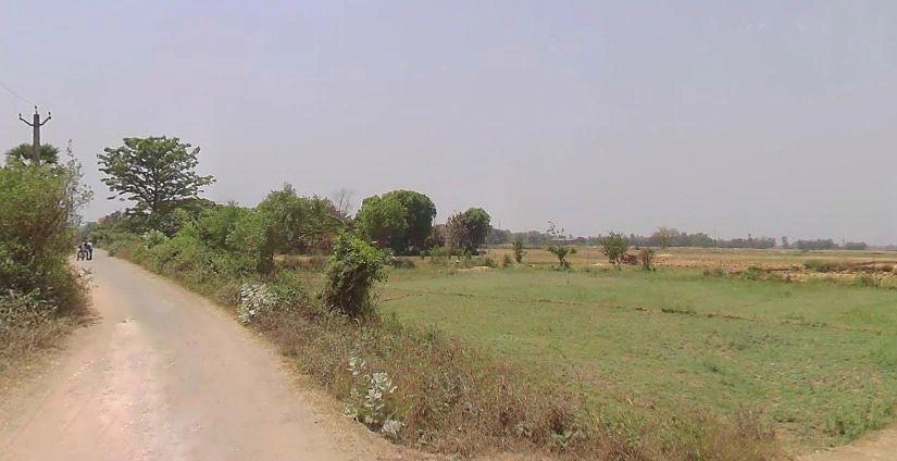 GXP3+MP8, Ajwan, Bihar 801109, India