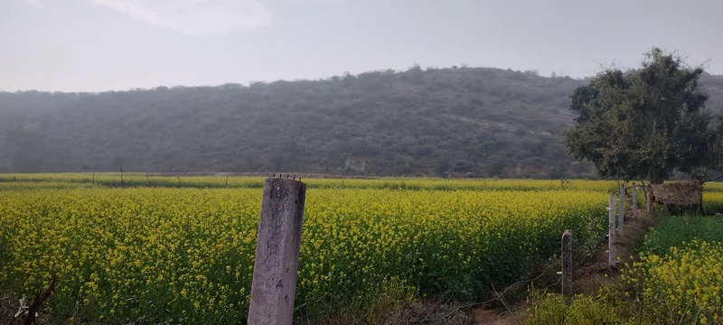 Seu, Rajasthan, India preview 4