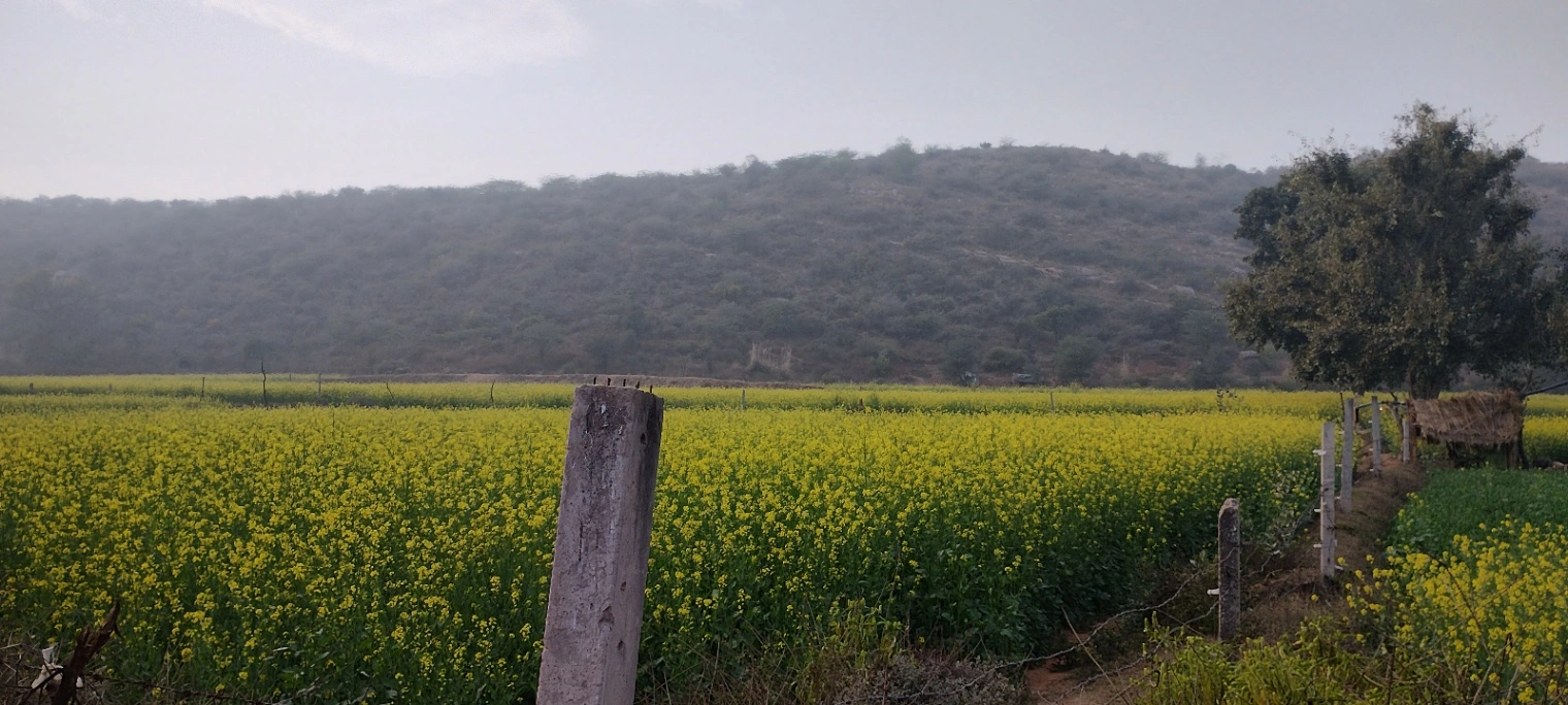 Seu, Rajasthan, India