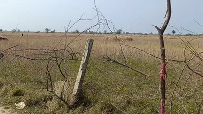 6F63+XG Tordi, Rajasthan, India preview 2