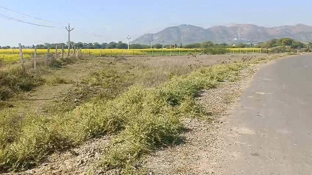 4HHC+87 Lamba Kalan, Rajasthan, India