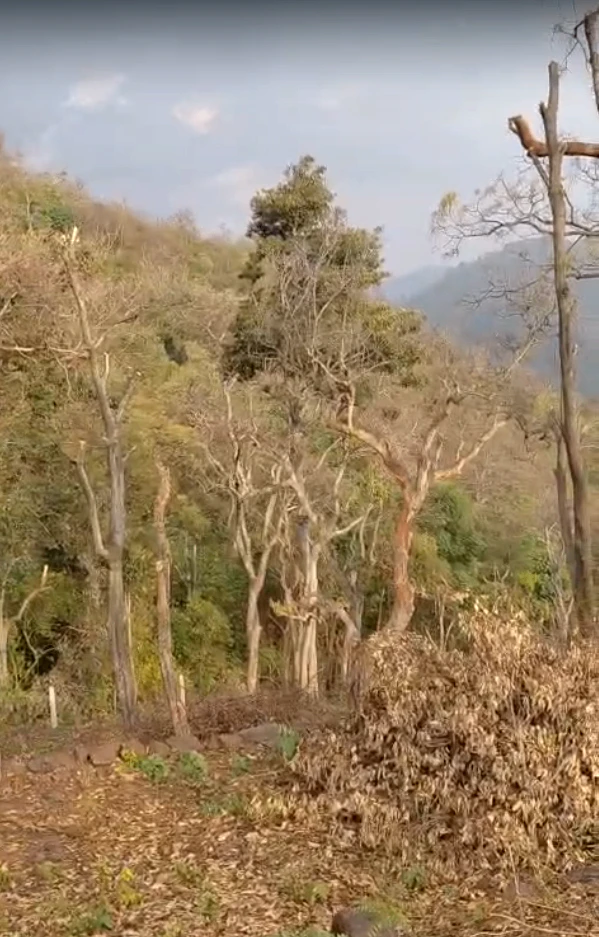 Morni Hills, Haryana, India