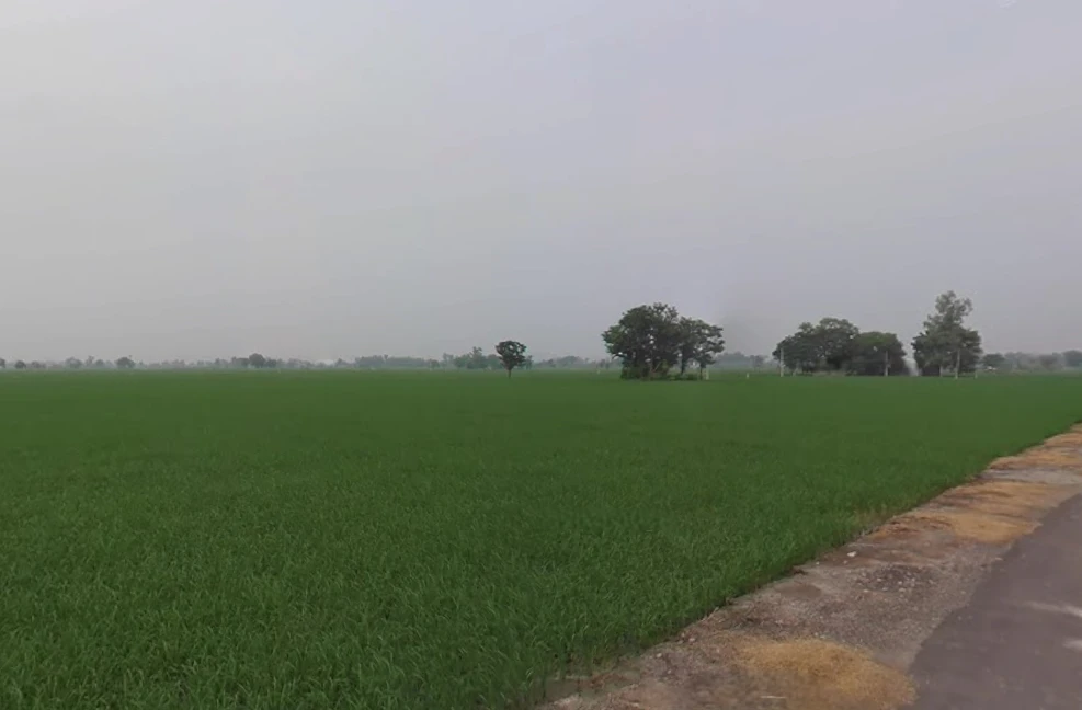 Bangla, West Bengal 722136, India