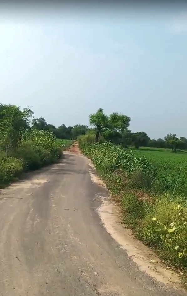 8HGR+6GX, Jhunjhunu, Sultana Ka Bas, Narhar, Rajasthan 333035, India