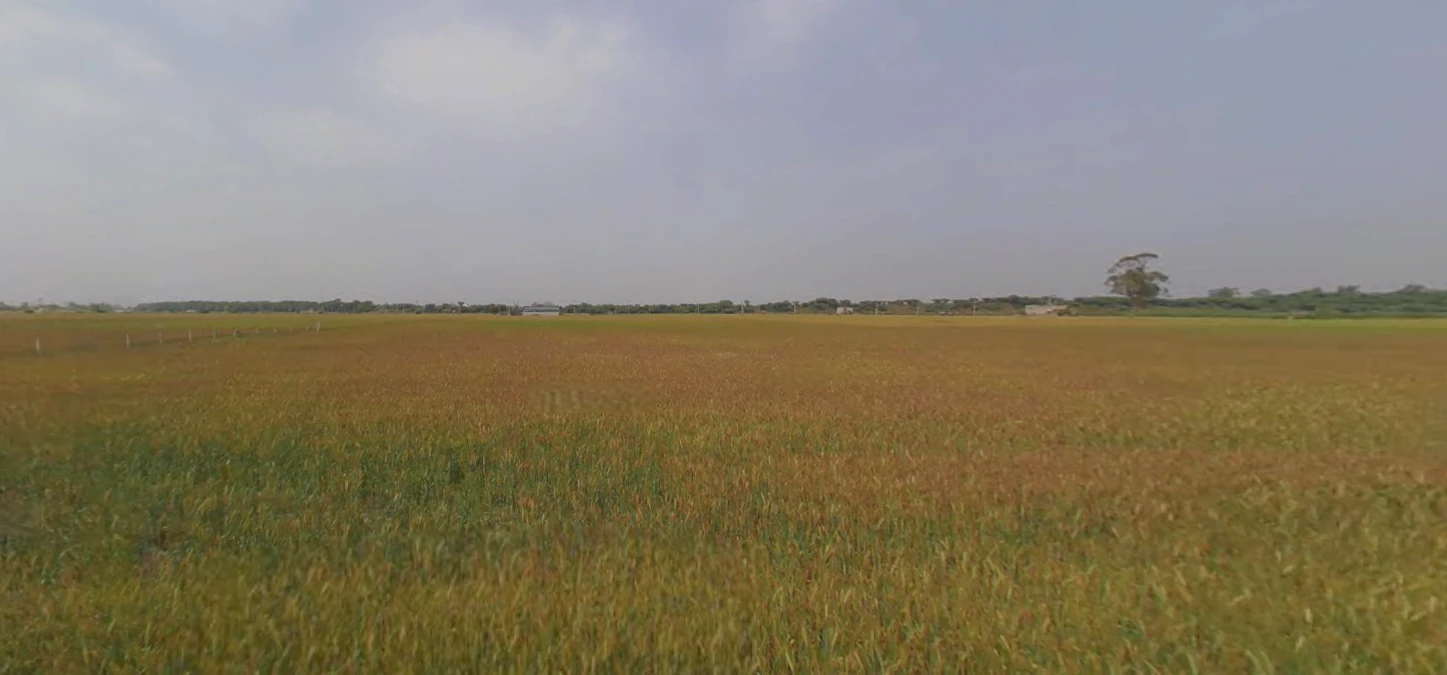 Khatoo, Rajasthan 332602, India