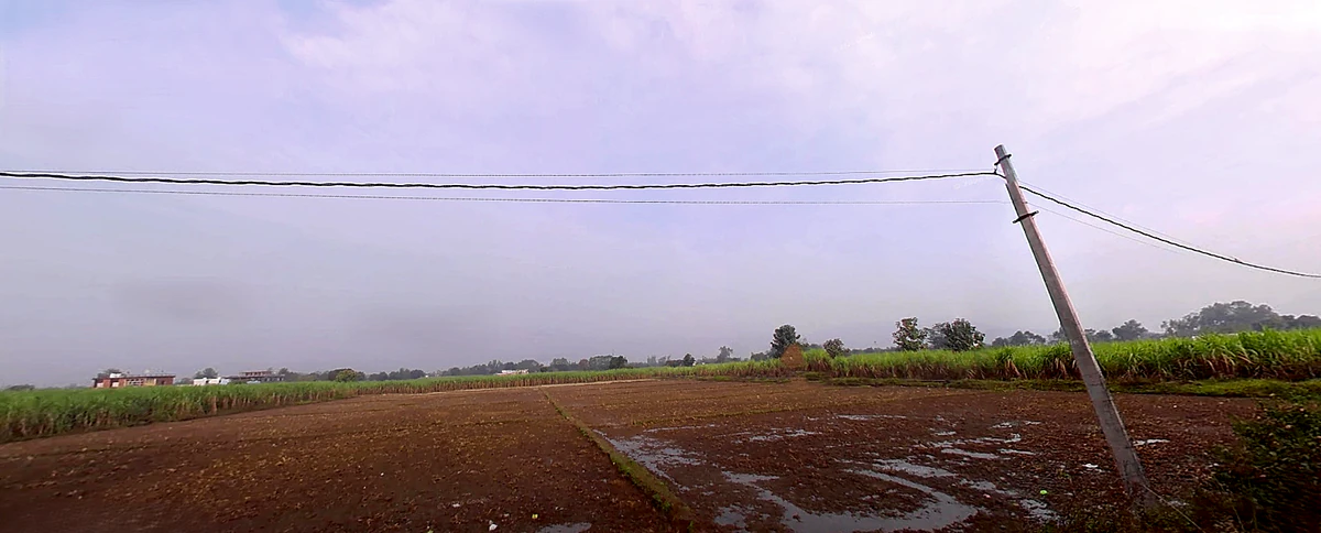 Bhagwanpur, Uttarakhand 247661, India