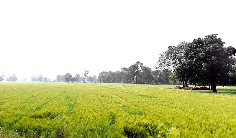 Ujjainiya, Madhya Pradesh 456006, India preview 2