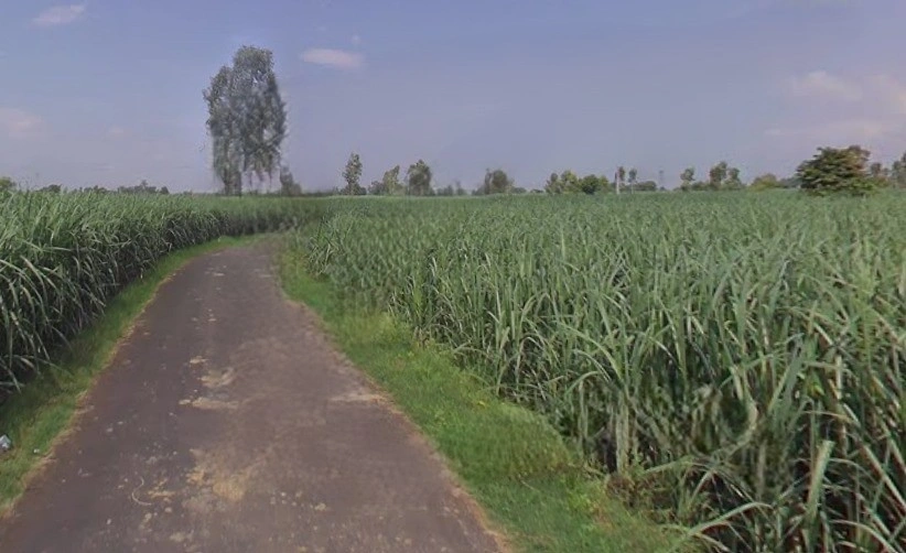 Jansath, Uttar Pradesh 251314, India