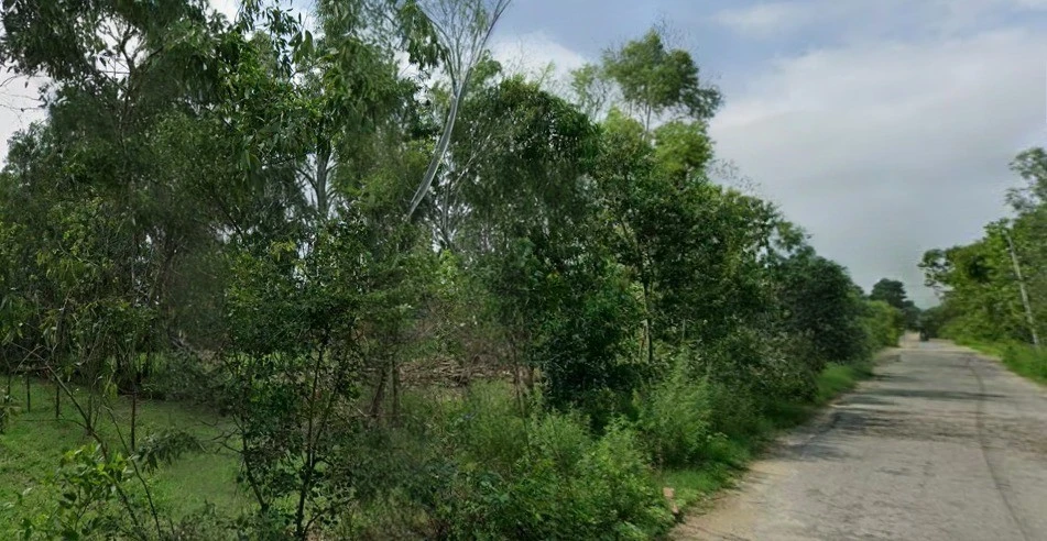 Bilari, Uttar Pradesh 244411, India