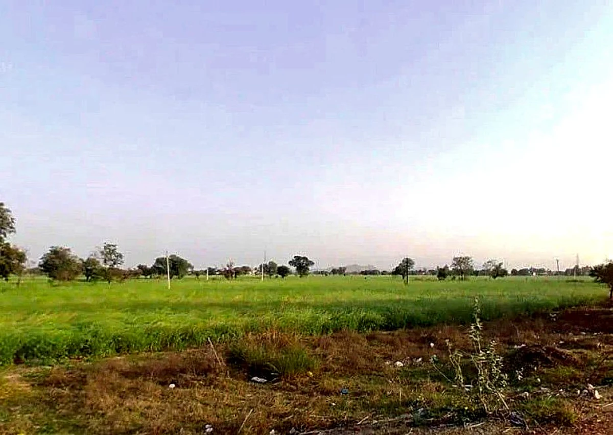 CCH8+2VQ, Khatu Shyam Ji Rd, Mandha, Madani, Rajasthan 332402, India