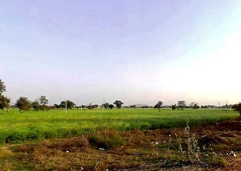 CCH8+2VQ, Khatu Shyam Ji Rd, Mandha, Madani, Rajasthan 332402, India preview 2