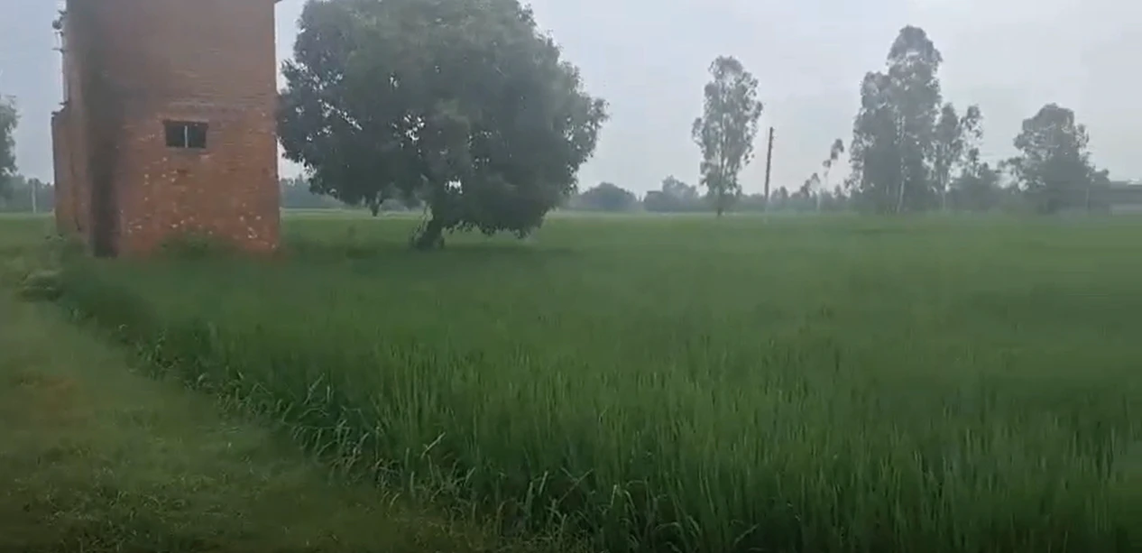 HCV3+R7 Dulheypur Aheer, Amroha, Uttar Pradesh, India
