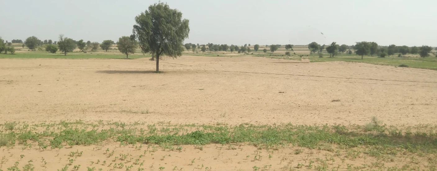 3XJ6+GH Rajiyasar, Sri Ganganagar, Rajasthan, India