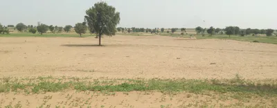 3XJ6+GH Rajiyasar, Sri Ganganagar, Rajasthan, India preview 3