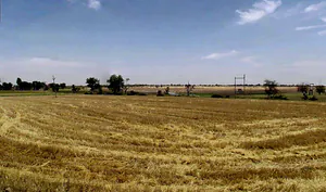 Lakhakhedi Naharpur, Madhya Pradesh 456443, India preview 3