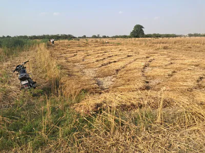 Q5VH+JG Manjha Kala, Uttar Pradesh, India preview 3