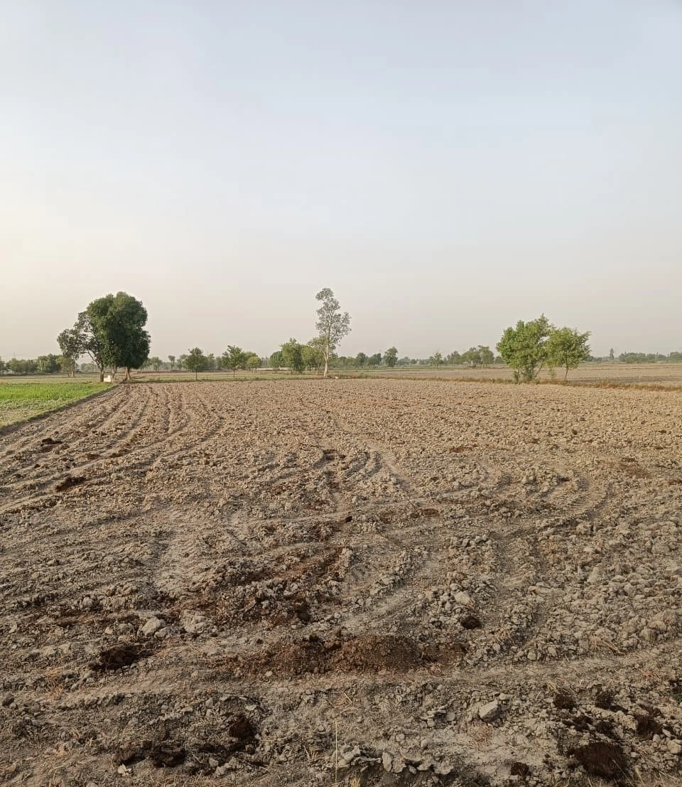 Bhoopsera, Rajasthan 301402, India