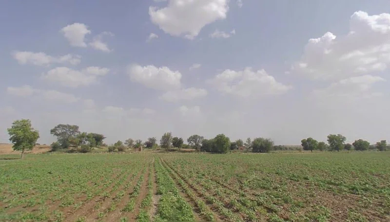 5 Sd, Rajasthan, India preview 3