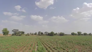 5 Sd, Rajasthan, India preview 3