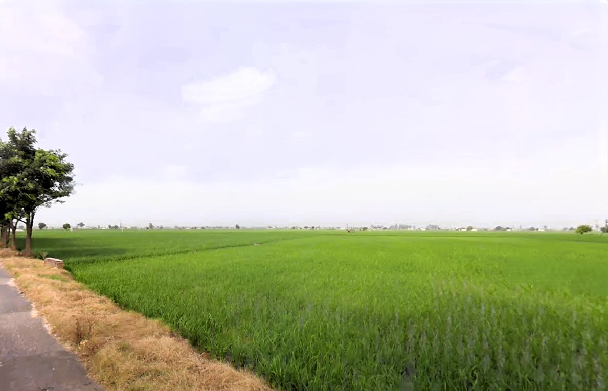 Nissing, Haryana 132024, India