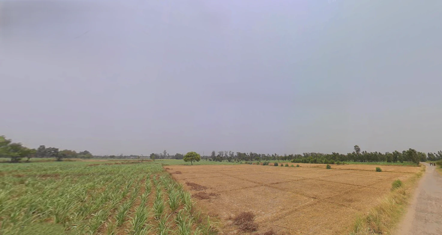 Puranpur, Uttar Pradesh 262122, India