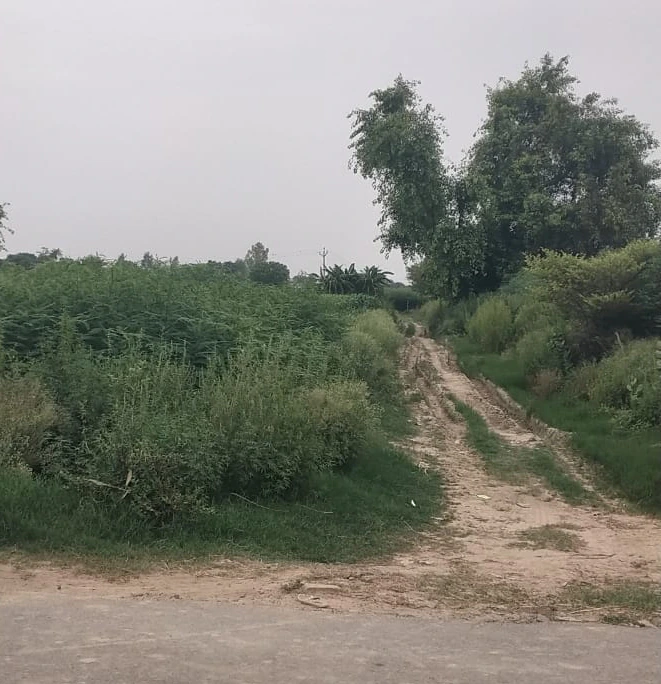 PJ52+XRF, Mathura, Naugaon, Uttar Pradesh 281404, India