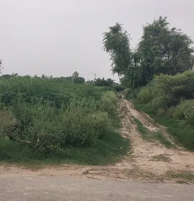 PJ52+XRF, Mathura, Naugaon, Uttar Pradesh 281404, India preview 2