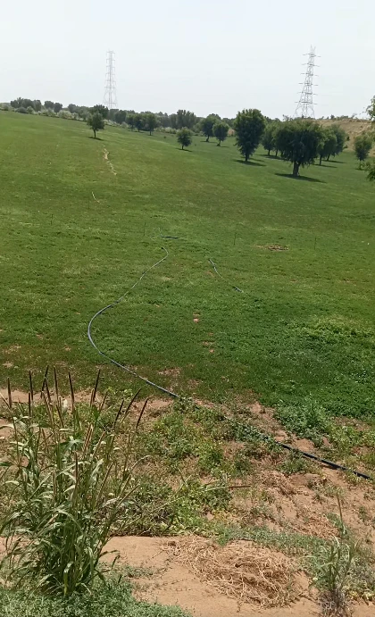 8Q8J+FPG, Tonk, Bagri, Rajasthan 304801, India