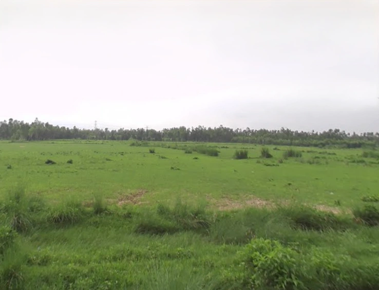 Mirzapur, Uttar Pradesh 247121, India