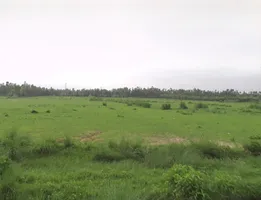Mirzapur, Uttar Pradesh 247121, India preview 2