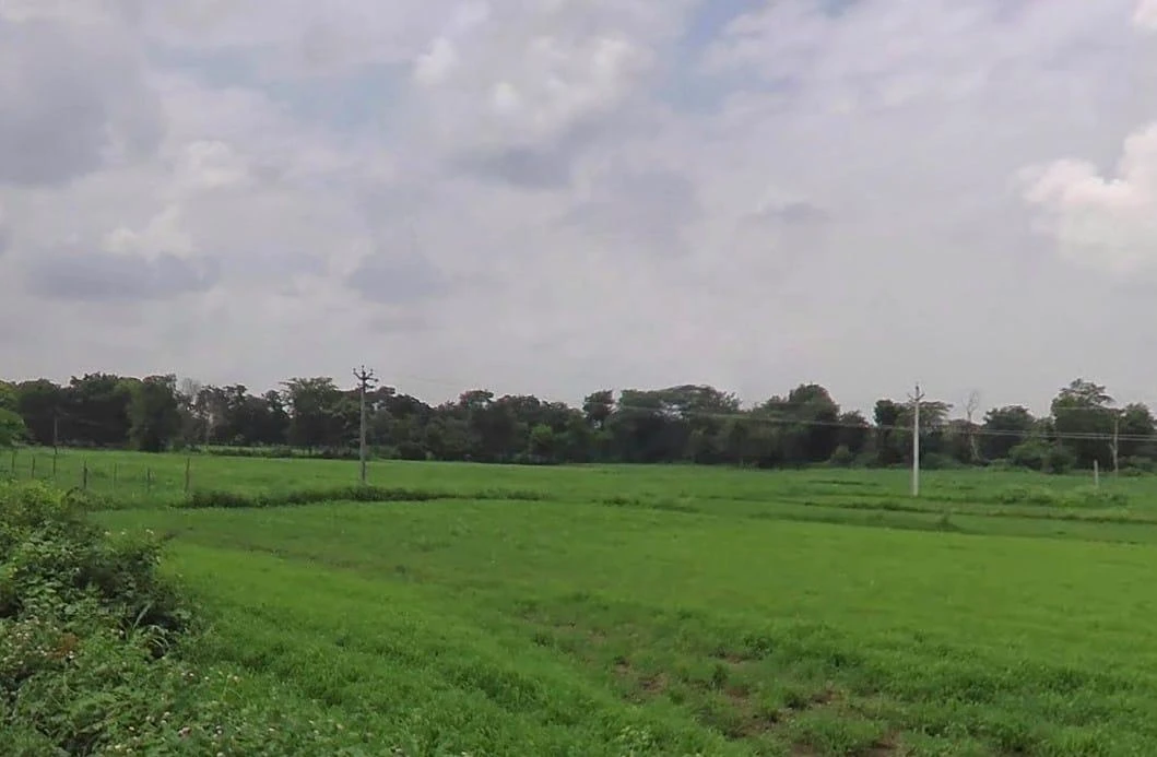 JXMM+XG Beejana, Rajasthan, India