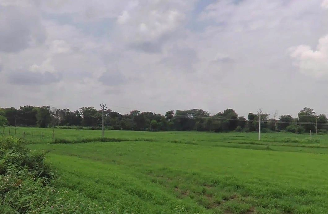 JXMM+XG Beejana, Rajasthan, India