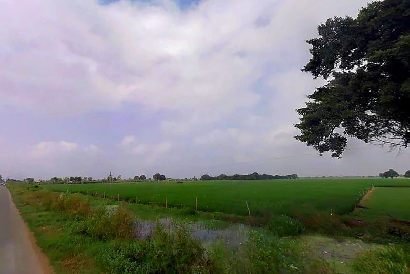 5J72+X3R, Kishorpur, Uttar Pradesh 203155, India preview 2