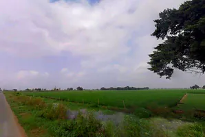 5J72+X3R, Kishorpur, Uttar Pradesh 203155, India preview 2