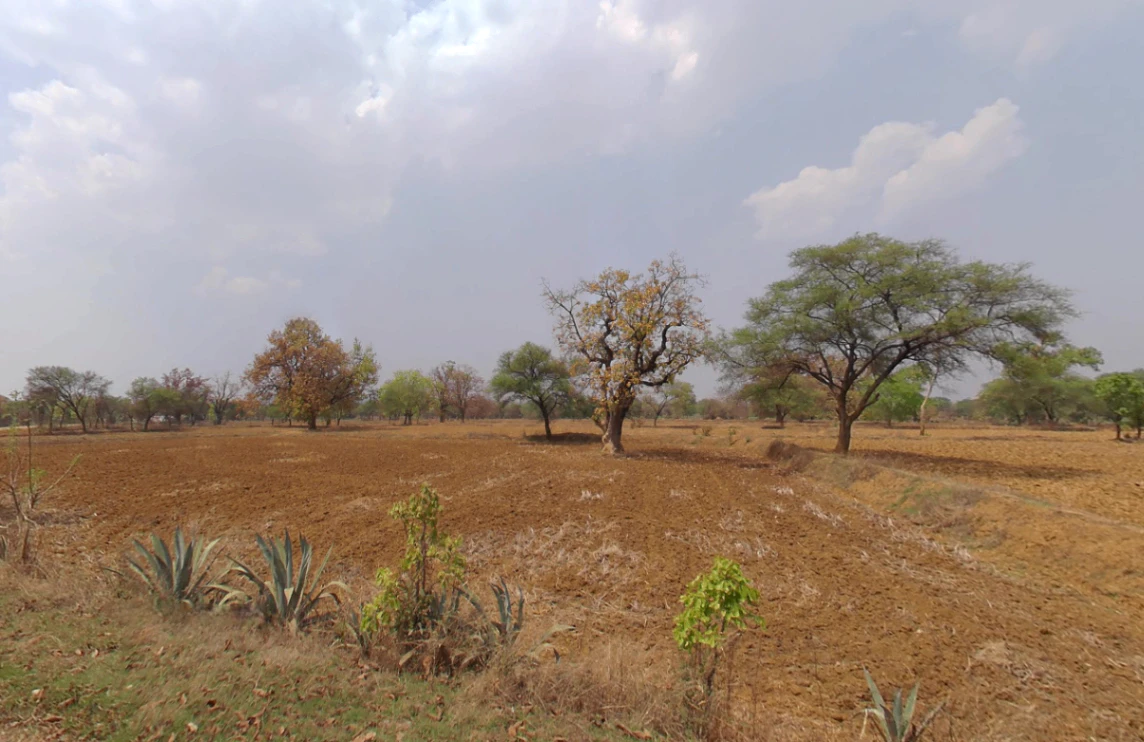 Morni Hills, Haryana, India