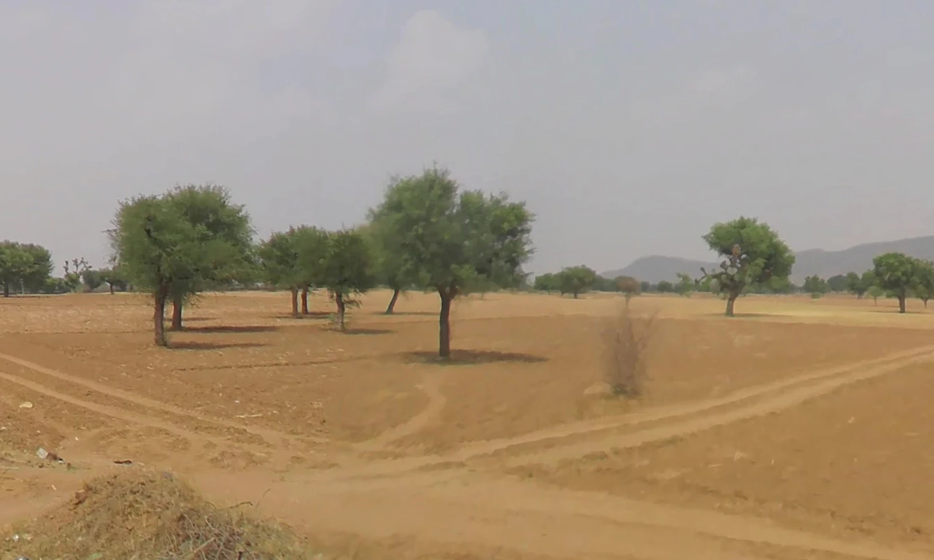 Morni Hills, Haryana, India